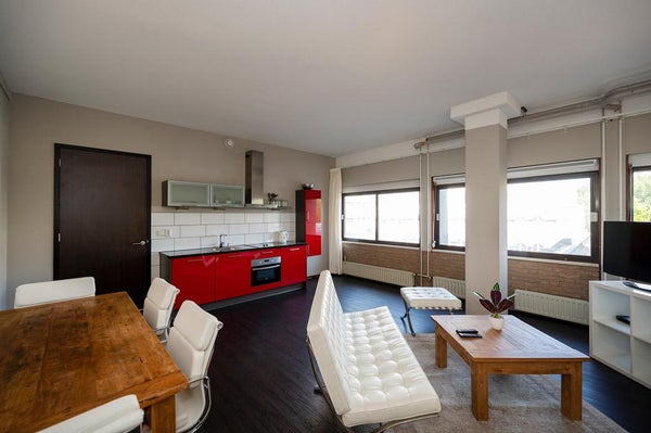 Home 247
