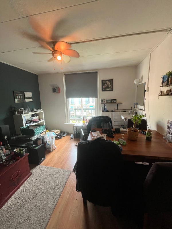 Home 247